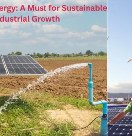 Renewable Energy Solutions in India