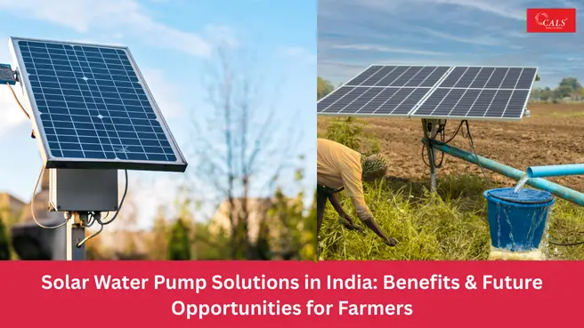 Solar Water Pump Solutions in India – Cals India