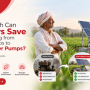 Cals India Blog Post 28 90x90